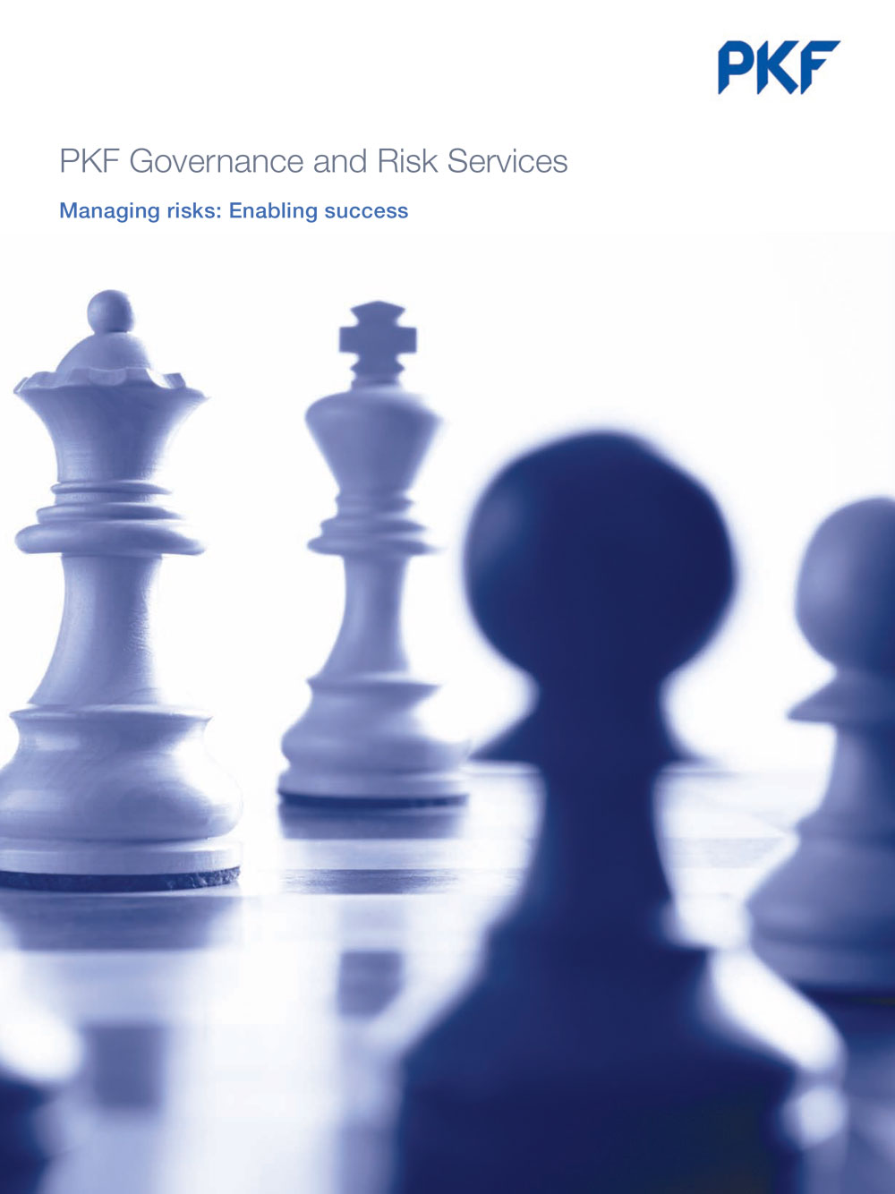 PKF International Governance and Risk